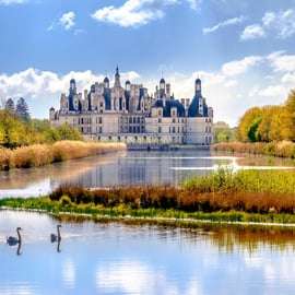 Desde París: Excursión de un día a los Castillos del Valle del Loira con Cata de Vinos