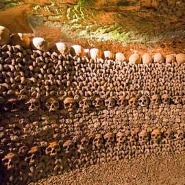 Paris: Catacombs Entry & Seine River Cruise with Audio Guide