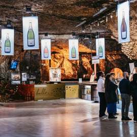 Excursão a vinícolas da Borgonha e Chablis saindo de Paris