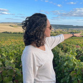 Excursão a Sancerre com degustação de vinhos e almoço