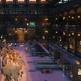 Paris: Entry Ticket to the Great Gallery of Evolution