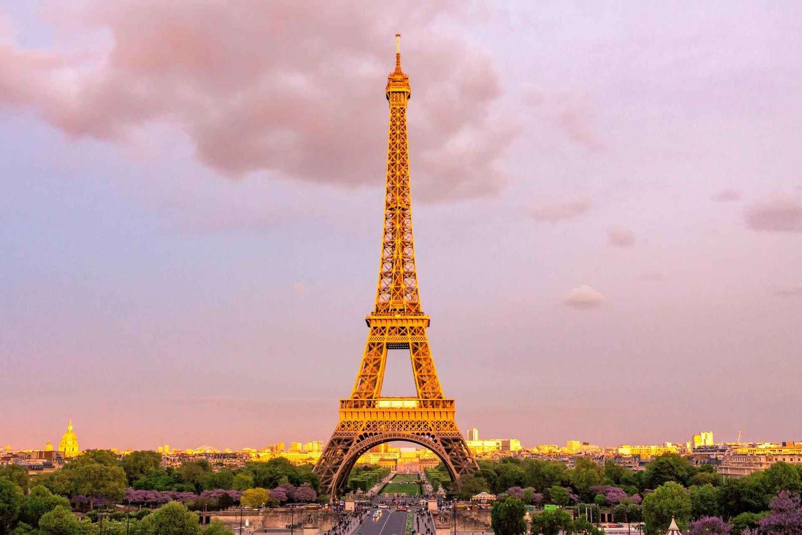 Parigi: Accesso al secondo piano della Torre Eiffel o accesso al vertice