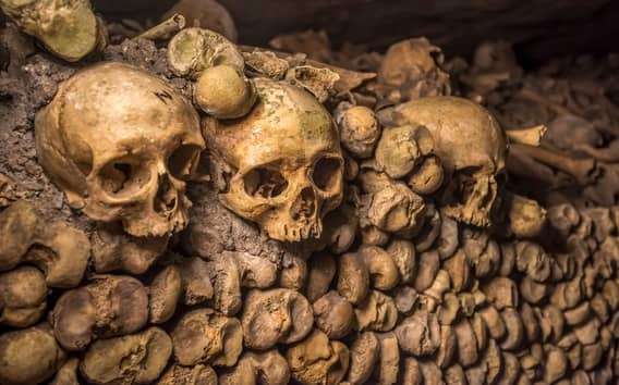 Paris Catacombs Skip-the-Line Guided Tour and Special Access