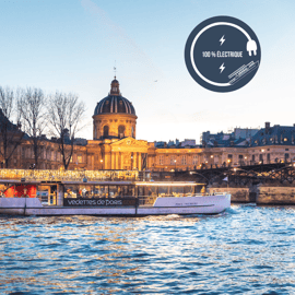 París: Crucero nocturno por el río con música