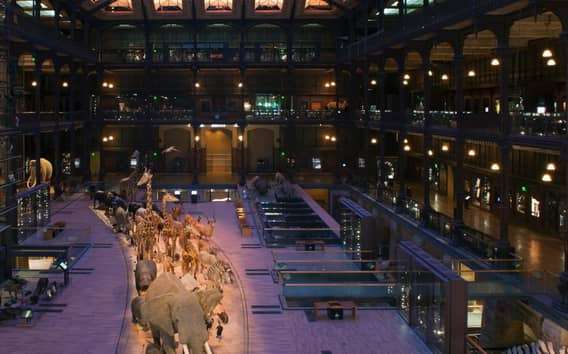 Paris: Entry Ticket to the Great Gallery of Evolution