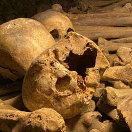 Visita às Catacumbas de Paris sem fila, em grupo de até 6