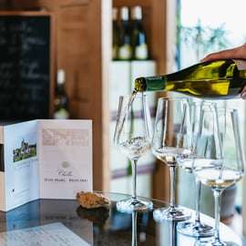 Excursão a vinícolas da Borgonha e Chablis saindo de Paris