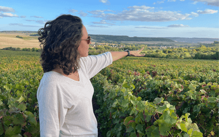 Da Parigi: Escursione di un giorno a SANCERRE con 10 degustazioni e pranzo