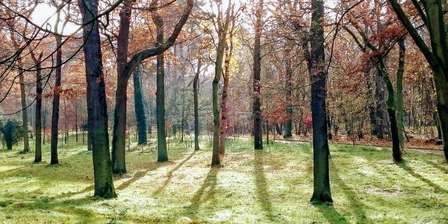 Bois de Boulogne