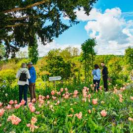 Halvdagsutflykt till Giverny, Monets hus och trädgårdar