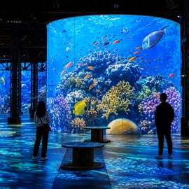 Paris: Atelier des Lumières Admission Ticket – Planet Ocean