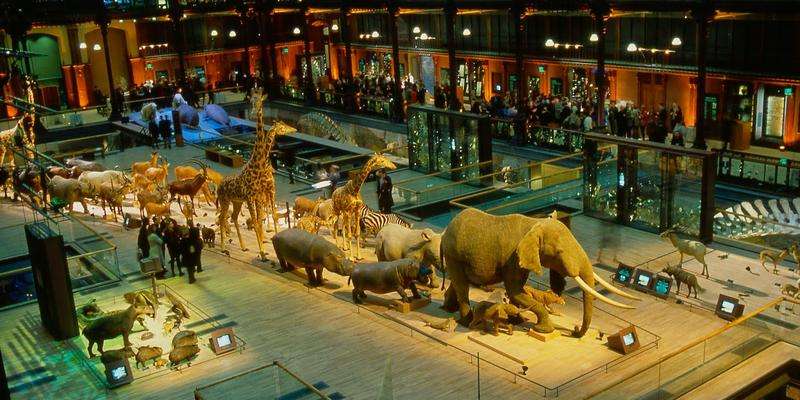 Museo Nacional de Historia Natural