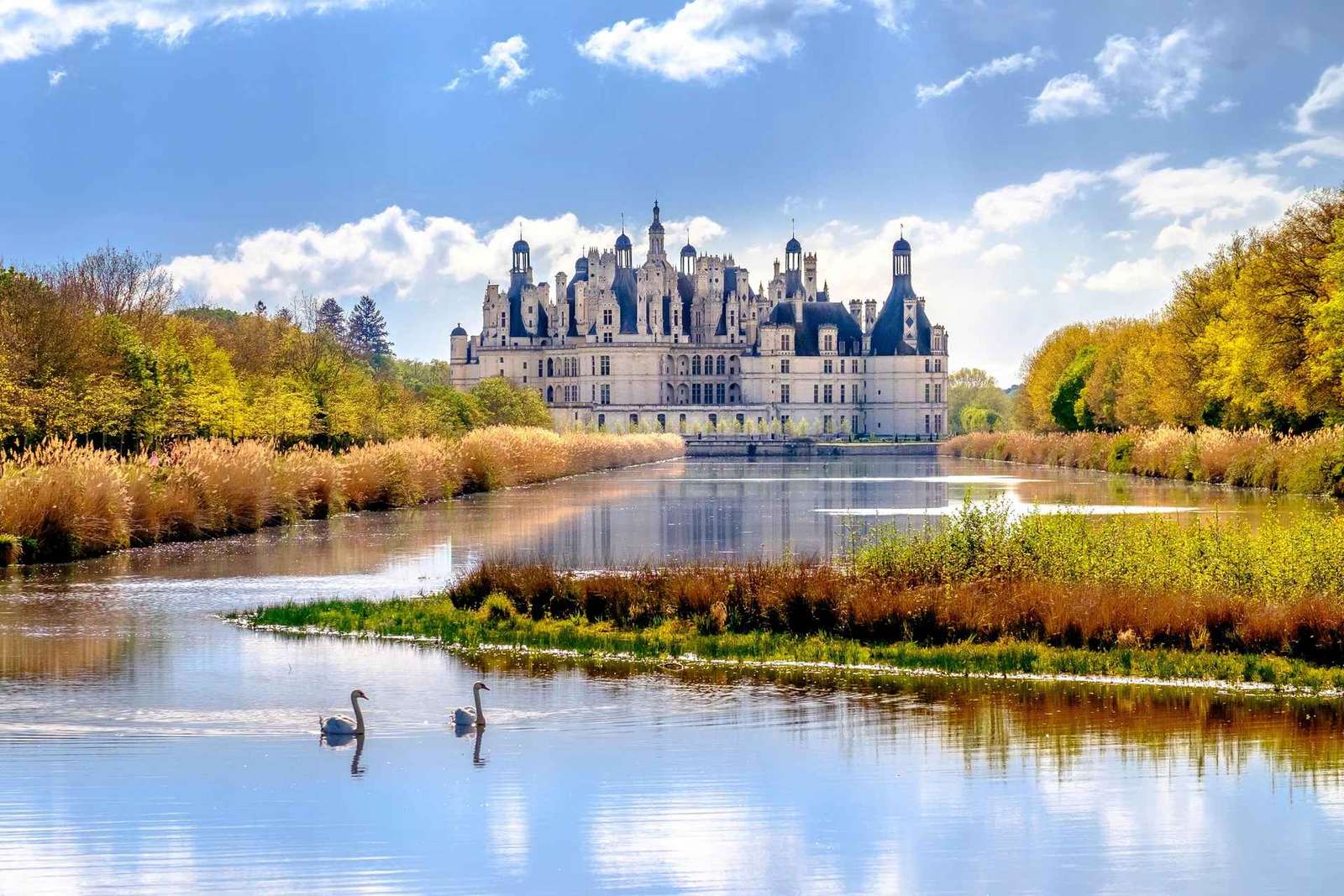 Desde París: Excursión de un día a los Castillos del Valle del Loira con Cata de Vinos