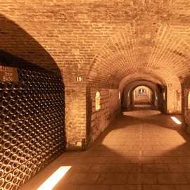 De Paris: Viagem de 1 dia para Champagne com 8 degustações e almoço