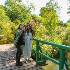 Giverny Tagesausflug: Monets Garten mit Guide oder Audioguide