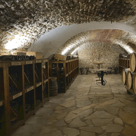 Excursão a Sancerre com degustação de vinhos e almoço