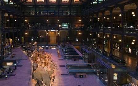 Paris: Entry Ticket to the Great Gallery of Evolution