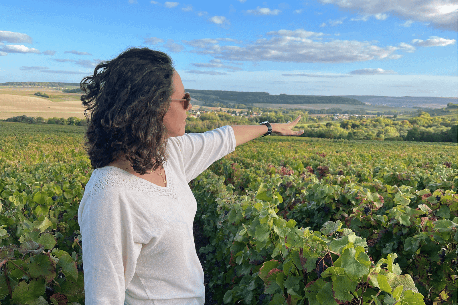 Excursão a Sancerre com degustação de vinhos e almoço