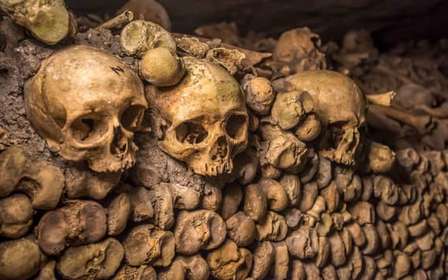 Tour guidato delle Catacombe di Parigi con ingresso prioritario e accesso speciale