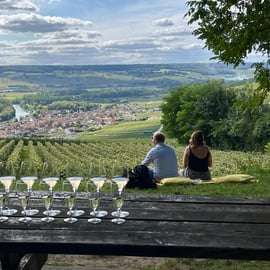 Výlet do Champagne z Paříže: nejvýše osm hostů a degustace