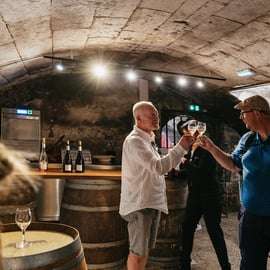 Desde París: Excursión de un día a los Castillos del Valle del Loira con Cata de Vinos