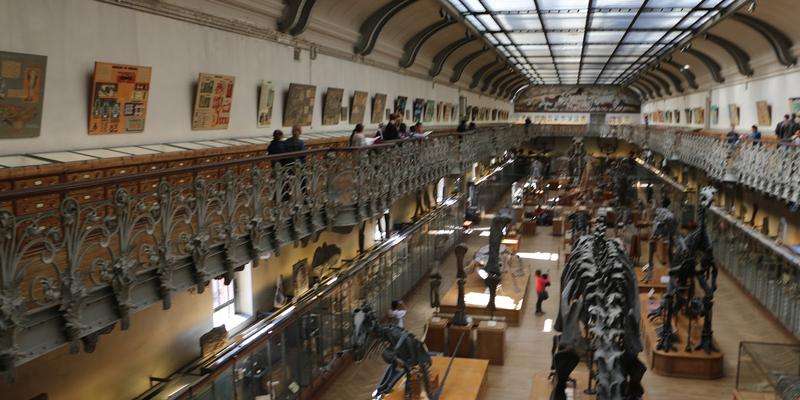 Muséum d'Histoire Naturelle