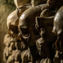 Paris: Catacombs Entry Ticket, Audio Guide, and River Cruise
