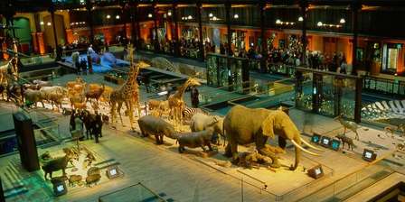 Muséum national d'histoire naturelle