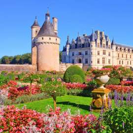 Desde París: Excursión de un día a los Castillos del Valle del Loira con Cata de Vinos