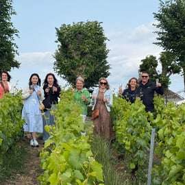 From Paris: Reims and Champagne Tasting Full-Day Tour