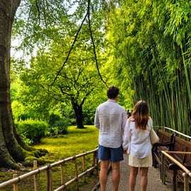 Monet háza és kertjei Giverny-ben, Párizsból