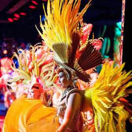 Tour nocturno por París y espectáculo del Moulin Rouge