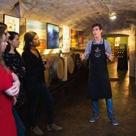 Paris: Visita guiada ao Museu do Vinho com prova de vinhos