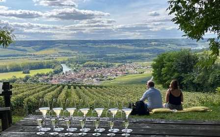 Tour della Champagne da Parigi: piccoli gruppi, degustazioni e trasporto
