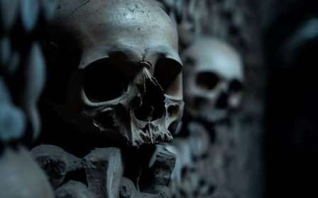 Parigi: Biglietto d'ingresso alle catacombe, audioguida e crociera sul fiume
