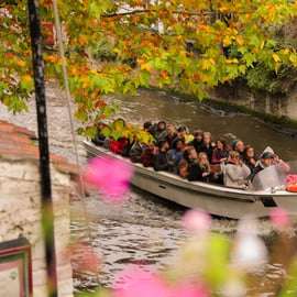 De Paris: Viagem de 1 dia a Bruges com um cruzeiro sazonal opcional