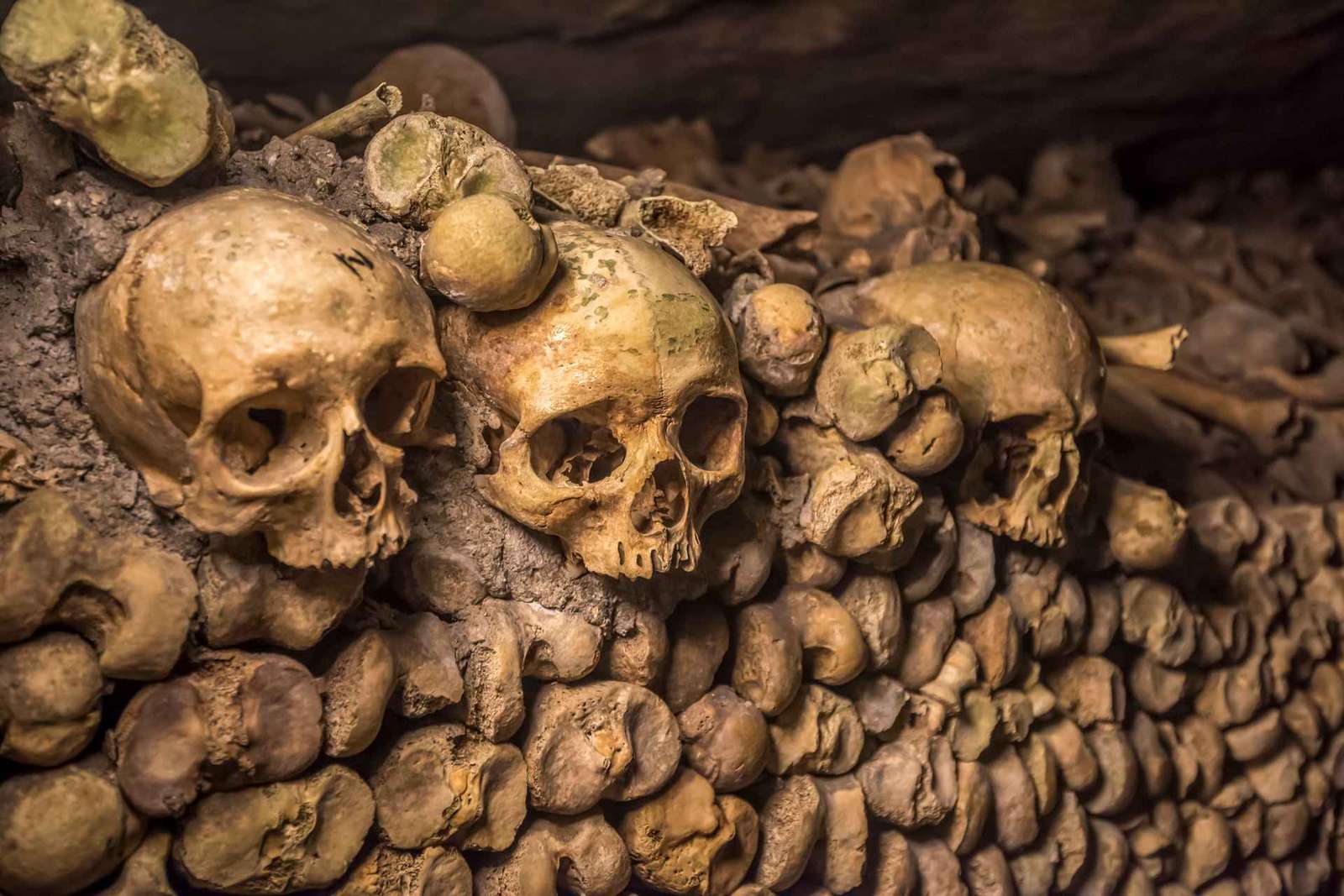 Catacombes de Paris : visite guidée en coupe-file et accès spécial