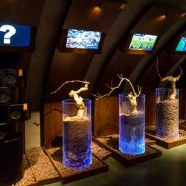 Paris: Visita guiada ao Museu do Vinho com prova de vinhos