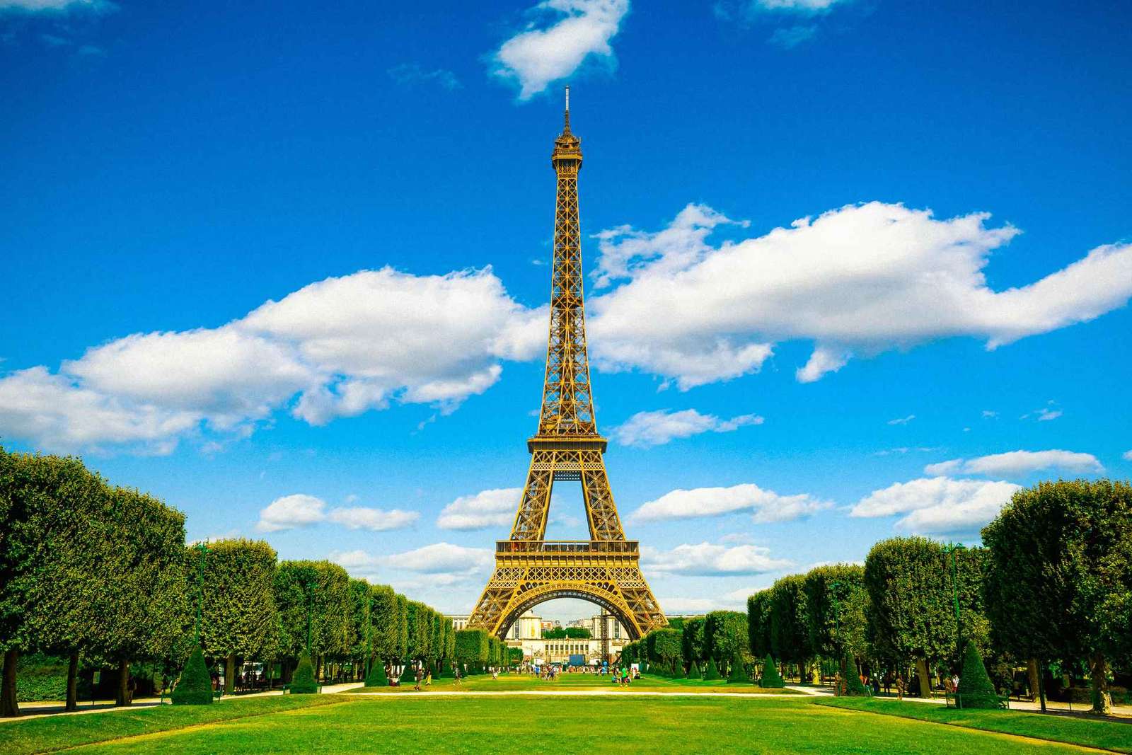 Eiffel Tower Tour with English Guide: 2nd Floor or Summit