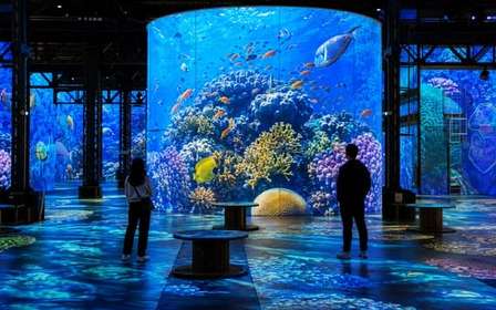 Paris: Atelier des Lumières Admission Ticket – Planet Ocean