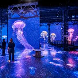 Paris: Atelier des Lumières Admission Ticket – Planet Ocean